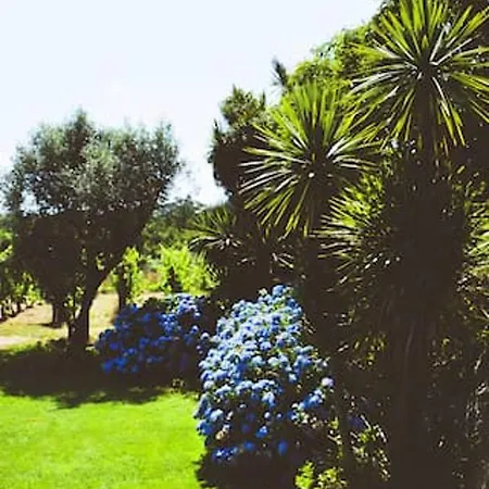 3 Bedrooms With Private Pool And Wifi At Parada Paredes (Porto)